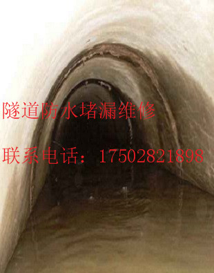 澳门平特三中三三中二