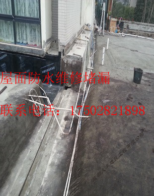 澳门平特三中三三中二